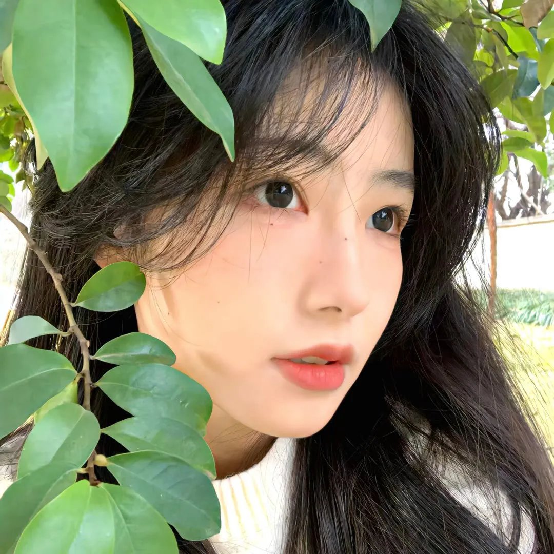 爱的追踪