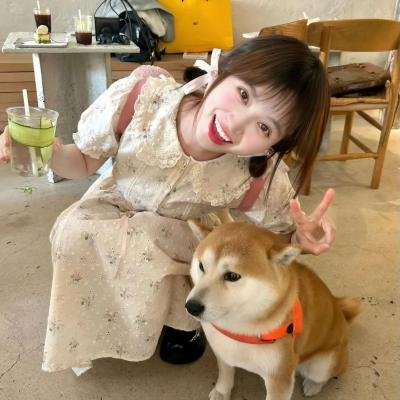 歌场艳影